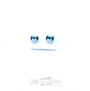 Серьги C77 (пара)